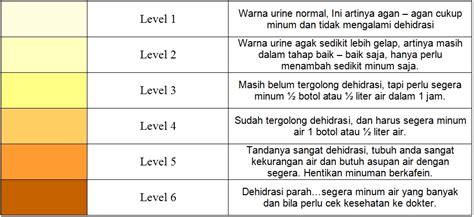 Tingkat Warna Urine - balustradellc