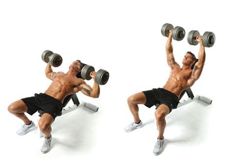 Tingkatkan bentuk otot dada dengan latihan decline bench barbell press ... - balustradellc