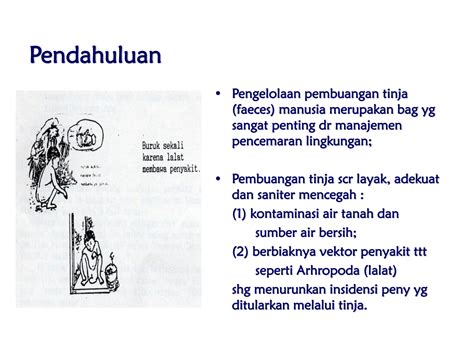 Tinja manusia - Wikiwand - wintechmobiles.com