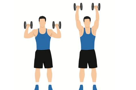 Tips Angkat Beban untuk Pemula - AI Care - balustradellc