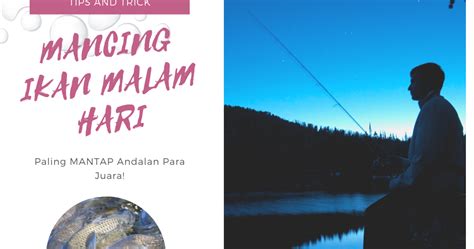 Tips Cara memancing di malam hari | cara Wahyudi - balustradellc