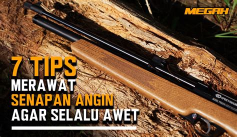Tips Cara Merawat Senapan Angin Halaman 1 - balustradellc