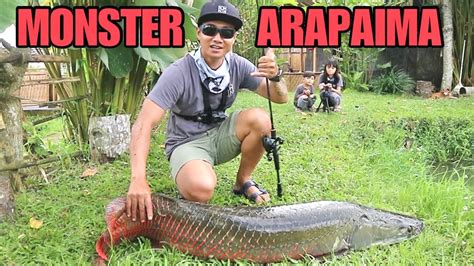 Tips dan Cara Mancing Ikan Arapaima Monster di Alam Liar - Lemon8 - balustradellc