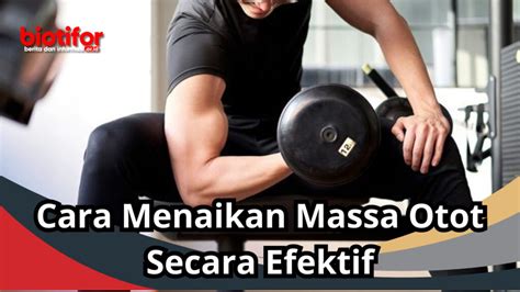 Tips Diet untuk Menambah Massa Otot Secara Efektif - balustradellc