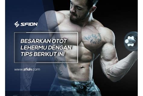 Tips Efektif Besarkan Otot Leher - SFIDN Article - balustradellc