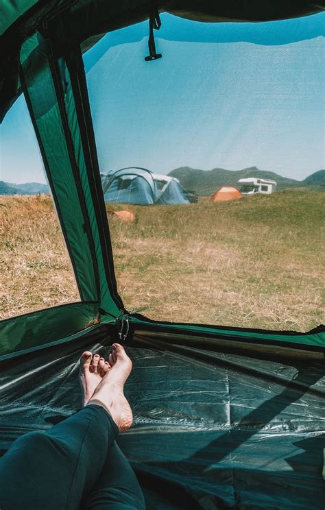 Tips for Creating a Bug-free Camping Environment with Proper Setup - balustradellc