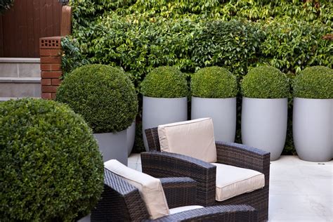 Tips for designing a courtyard garden - BBC Gardeners World Magazine - balustradellc