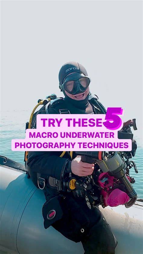 Tips for Doing Macro Underwater Photography - raincitystudios.com