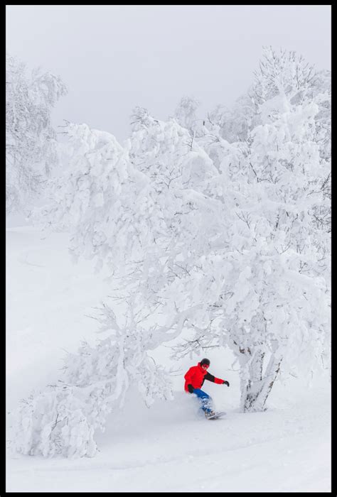 Tips for exposing snowy scenes - Photofocus - balustradellc