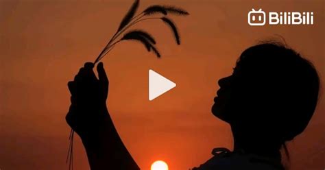 Tips for photographing a dog's tail, poses for … - balustradellc