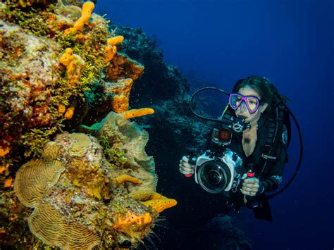 Tips for Shooting Underwater Panorama Photos with Your Camera - raincitystudios.com