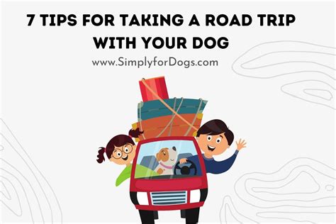 Tips for taking your dog on a road trip - The Zebra - balustradellc