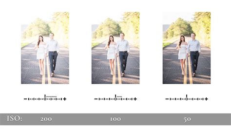 Tips for Using ISO Settings in Photography - balustradellc