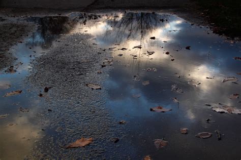 Tips for Water Reflection Photography: Fun with Puddles! - balustradellc
