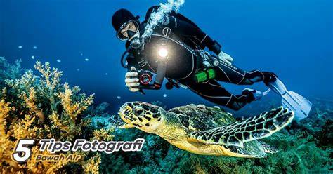 Tips Fotografi Underwater Saat Snorkeling - Trip Harian - raincitystudios.com