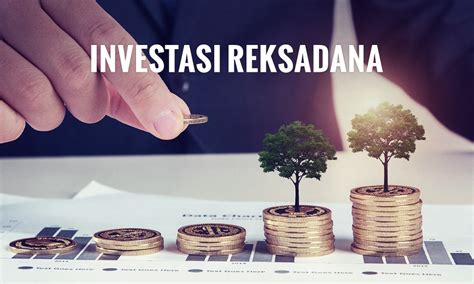Tips Investasi Reksadana Pemula Untuk Meraih Cuan - balustradellc