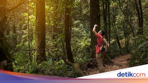 Tips Ketika Tersesat Saat Mendaki Gunung - balustradellc
