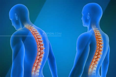 Tips Lengkap Latihan Chest Press khusus Wanita - balustradellc