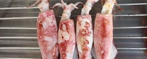 Tips Masak Cumi supaya Tidak Alot, Ini Rahasianya... - balustradellc