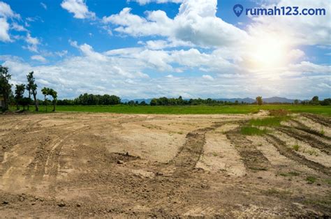 Tips Memanfaatkan Lahan Kosong - balustradellc