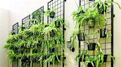 Tips Membuat Taman Vertikal di Rumah - balustradellc