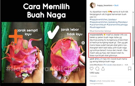 Tips Memilih Buah Naga - balustradellc