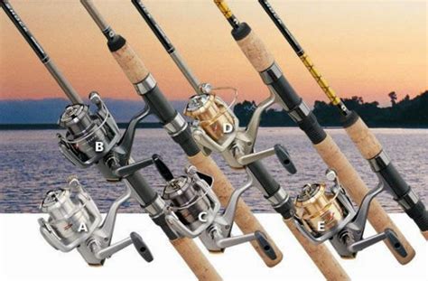 Tips Memilih Perlengkapan Pancing yang Benar - Velasco Indonesia - balustradellc