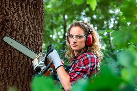 Tips Memotong Pohon dengan Aman dan Efektif - balustradellc