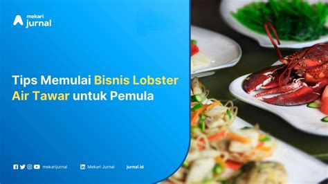 Tips Memulai Bisnis Lobster Air Tawar untuk Pemula - balustradellc