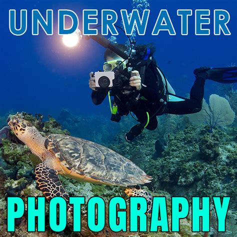 TIPS MEMULAI UNDERWATER FOTOGRAFI - raincitystudios.com