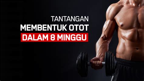 Tips Menambah Massa Otot Tanpa Suplemen - Ardian Gym Collection - balustradellc
