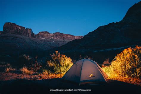 Tips Mencegah Gangguan Hewan Liar Saat Berkemah - balustradellc