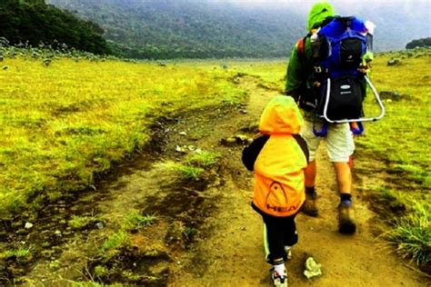 Tips Mendaki Gunung Bersama Si Buah Hati - balustradellc