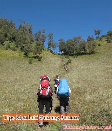 Tips Mendaki Gunung Semeru Bagi Pemula dan Senior - balustradellc