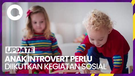 Tips Mengasuh Anak Introvert - balustradellc