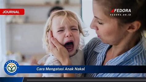 Tips Mengatasi Anak yang Sering Dianggap Nakal - balustradellc