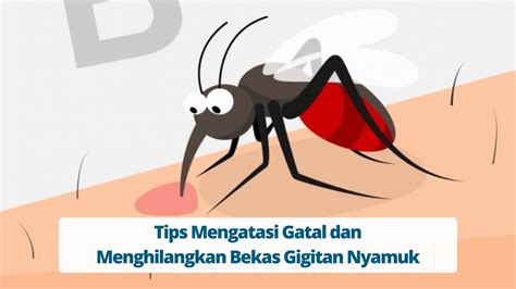 Tips Mengatasi Gatal dan Menghilangkan Bekas … - balustradellc