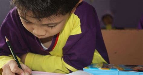 Tips Menghadapi Anak Malas Supaya Rajin Belajar - balustradellc