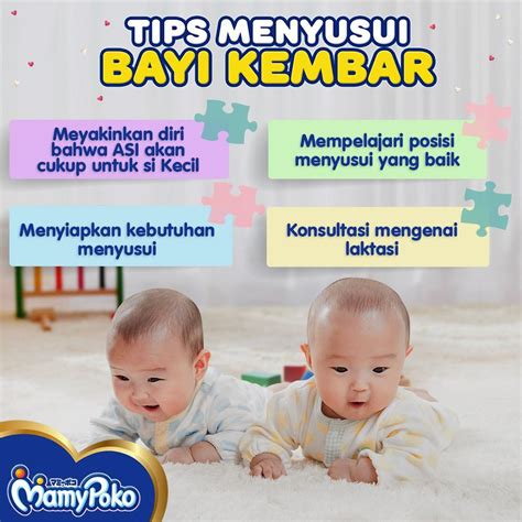 Tips Menyusui Tandem Bayi Kembar - balustradellc