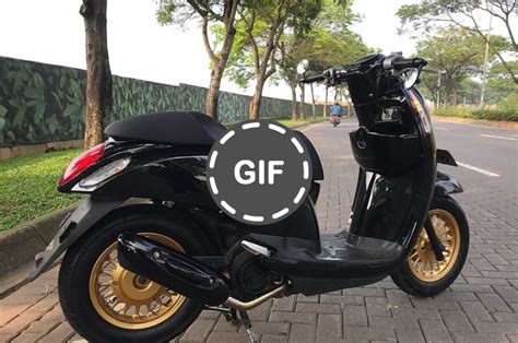 Tips Modifikasi Scoopy untuk Tampil Lebih Stylish - balustradellc
