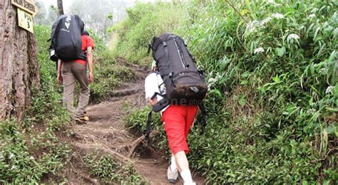 Tips Mudah Mendaki Gunung Merbabu : Okezone Travel - balustradellc
