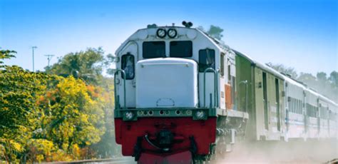 Tips Perjalanan Kereta Api ke Jember: Panduan Praktis - balustradellc