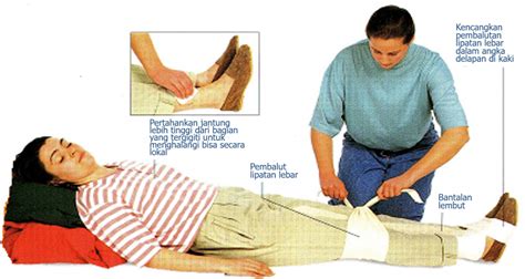 Tips Pertolongan Pertama Saat Tergigit Ular dan Daftar … - balustradellc