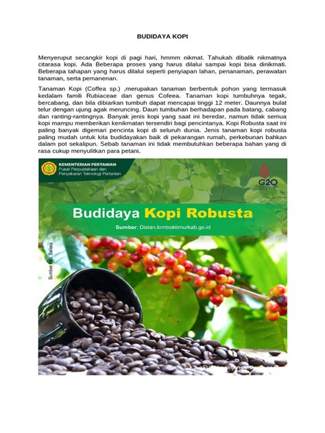 Tips Sukses Budidaya Robusta - balustradellc