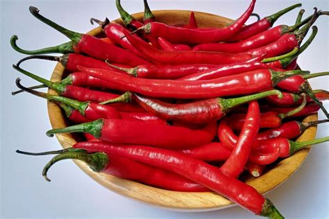 Tips Sukses Menanam Cabai Besar Saat Musim Hujan - balustradellc