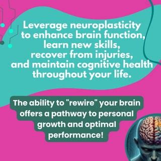 Tips to leverage neuroplasticity to maintain cognitive … - balustradellc