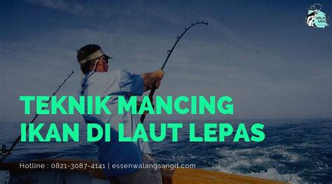 Tips untuk Mancing di Laut: Alat dan Teknik - balustradellc