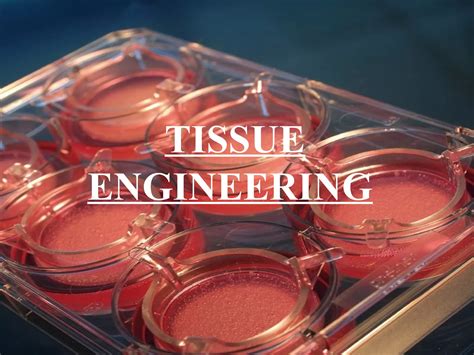 Tissue Engineering - MilliporeSigma - wintechmobiles.com