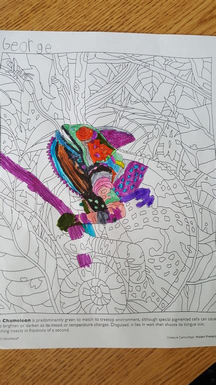 TK Coloring MatterMasters