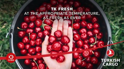 veodersti.rgarabwor.edu.pl. 